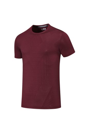 Men's Quick-dry Sports Fitness T-shirt Jujube Red #204