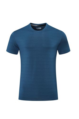 Men's Quick-dry Sports Fitness T-shirt Lake Blue #202