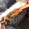 フェンディバッグコピー 定番人気2021新品 FENDI レディース ハンドバッグ