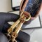 グッチバッグコピー 定番人気2022新品 GUCCI レディース ショルダーバッグ