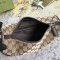 グッチバッグコピー 定番人気2022新品 GUCCI レディース ショルダーバッグ