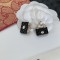 日本未入荷 シャネル ピアス コピー