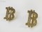 使い勝手良 バレンシアガ ピアス コピー