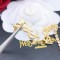 入手困難品！イヴサンローラン ピアス スーパーコピー 2色