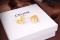 【大特価】セリーヌ ピアス 偽物