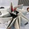 超希少！2024 シャネル 新作 雨晴兼用折りたたみ傘 自動開閉 コピー