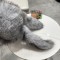 日本未入荷 2026 モンクレール 新作 帽子 キャップ スーパーコピー