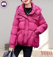 人気No1 2026 カナダグース 新作 ダウンジャケット スーパーコピー 3色