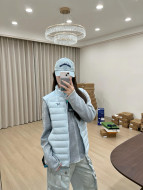 日本未入荷 2026 アークテリクス 新作 ダウンベスト スーパーコピー