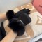 使い勝手良し 2026 ミュウミュウ 新作 手袋 レディース コピー