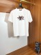 目を惹くカラー 2026 ルイヴィトン 新作 半袖Tシャツ 偽物