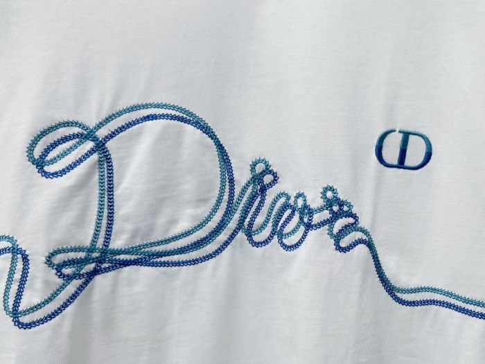 人気急上昇新作 2026 ディオール 新作 半袖Tシャツ スーパーコピー