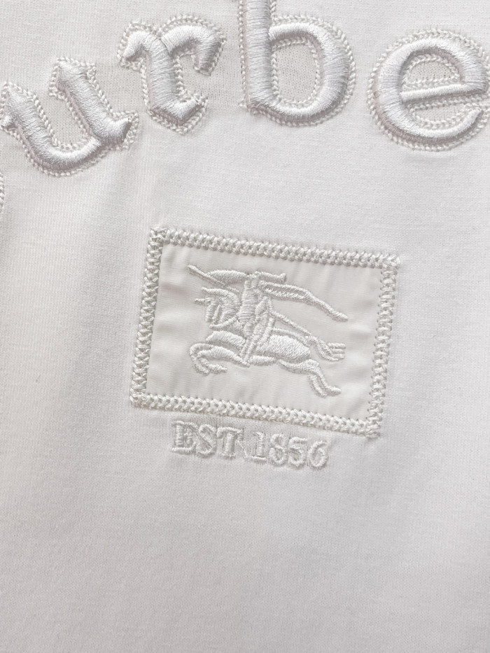 目を惹くカラー 2026 バーバリー 新作 半袖Tシャツ 偽物