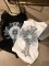 人気急上昇新作 2026 クロムハーツ 新作 半袖Tシャツ 偽物