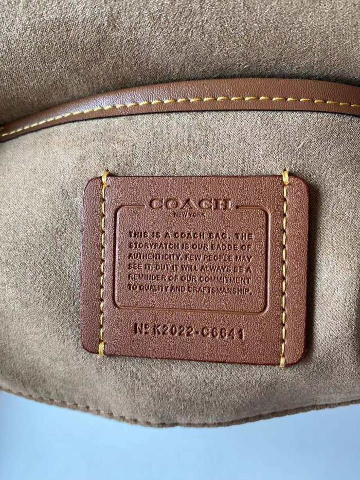 高品質 コーチ レディース ショルダーバッグ 偽物 C6641