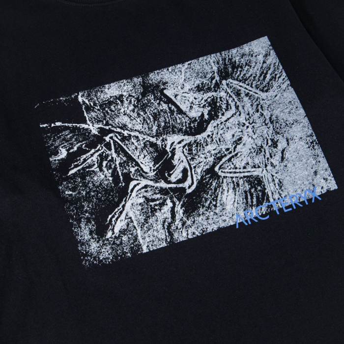 使い勝手良  2027 アークテリクス 新作 長袖Tシャツ コピー