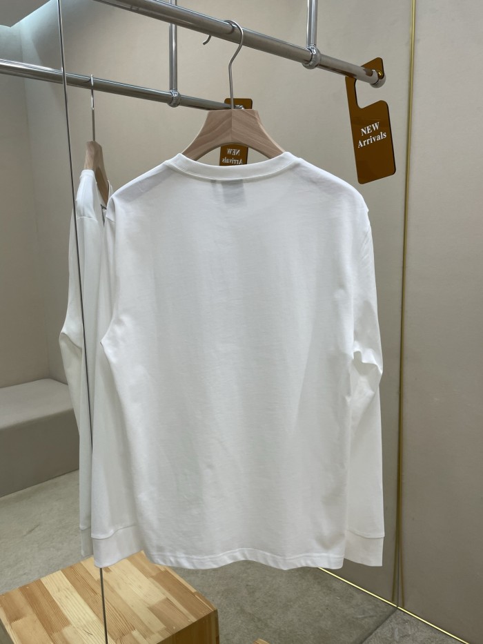 売上総額１位！2027 ディオール 新作 長袖Tシャツ スーパーコピー 2色