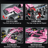 Mork 023009 pink F1 equation racing