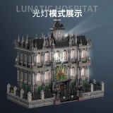 PANLOS 613002 Lunatic Hospital