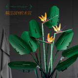 Bird of Paradise
