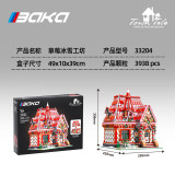 BK 33204 Strawberry Ice Workshop