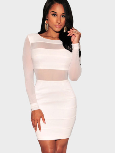 Open Back Mini Bodycon Dress with Mesh Sleeves