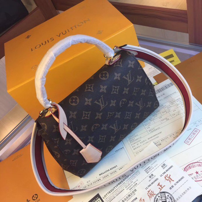Louis Vuitton Womens Bag