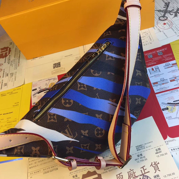 Louis Vuitton Womens Bag