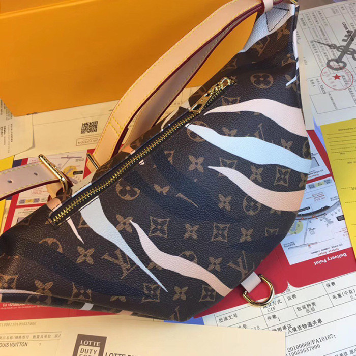 Louis Vuitton Womens Bag