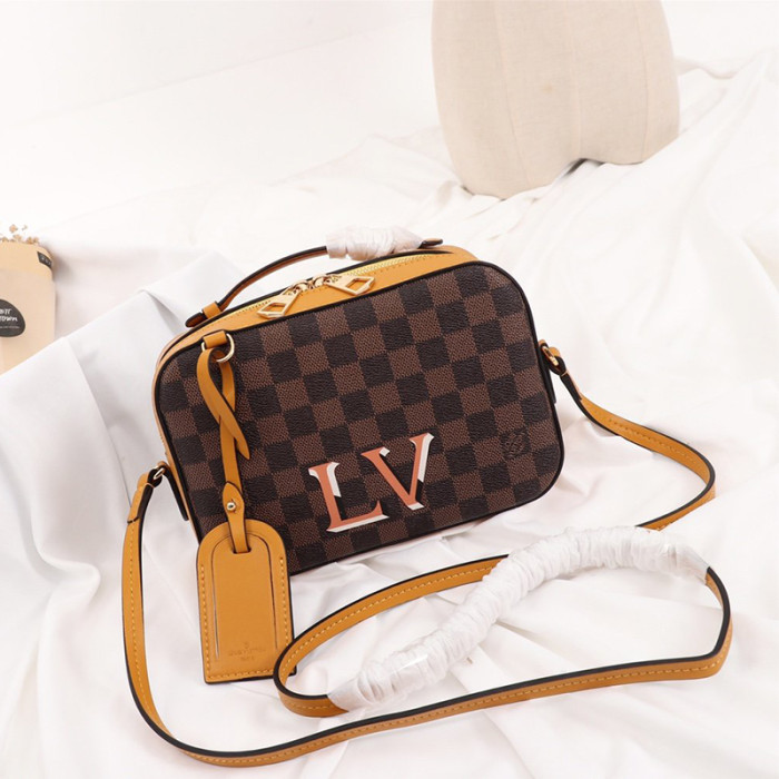Louis Vuitton Womens Bag