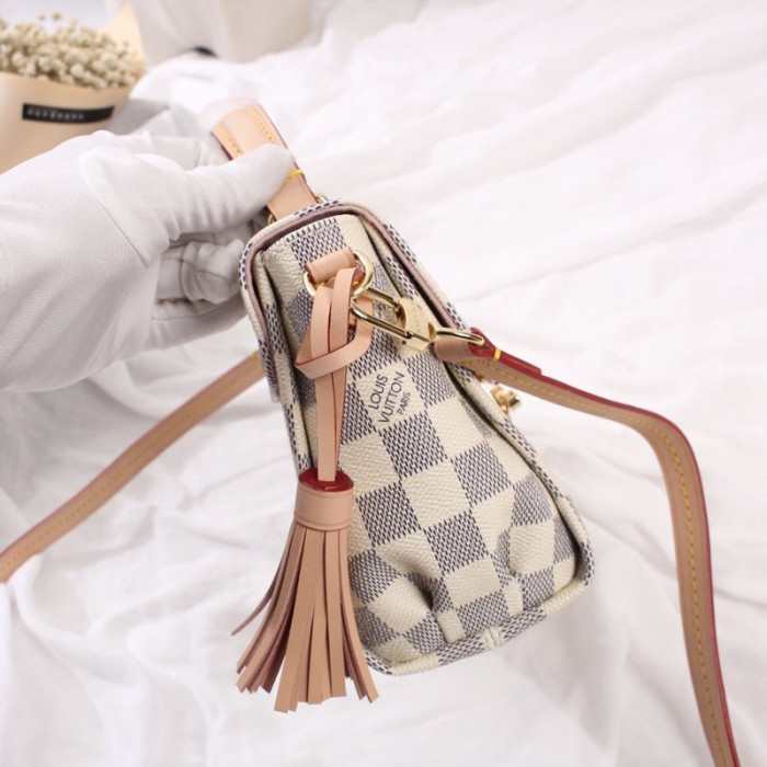 Louis Vuitton Womens Bag