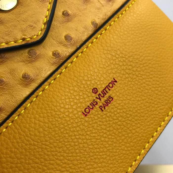 Louis Vuitton Womens Bag