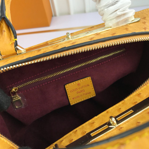 Louis Vuitton Womens Bag