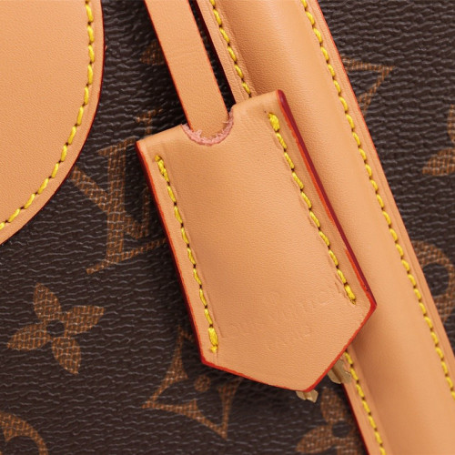 Louis Vuitton Womens Bags Luxury Brand Leather Fashion Bags for Women