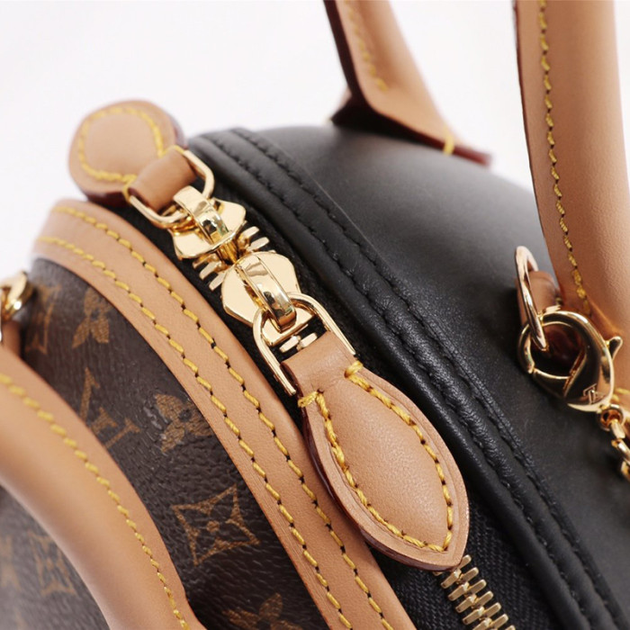 Louis Vuitton Womens Bag