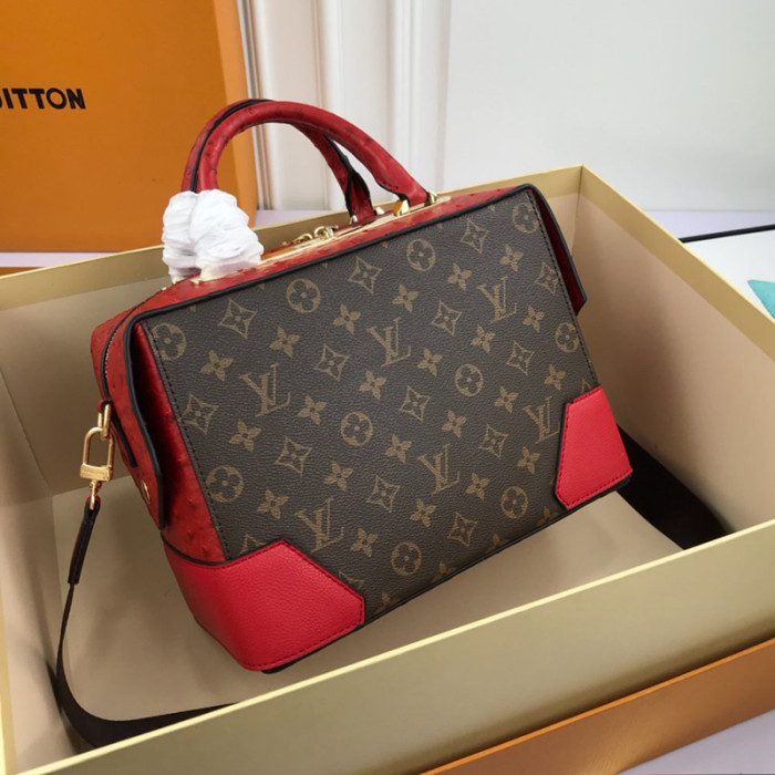 Louis Vuitton Womens Bag