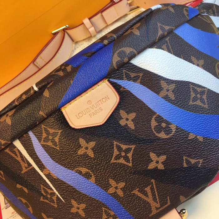 Louis Vuitton Womens Bag