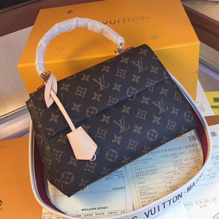 Louis Vuitton Womens Bag