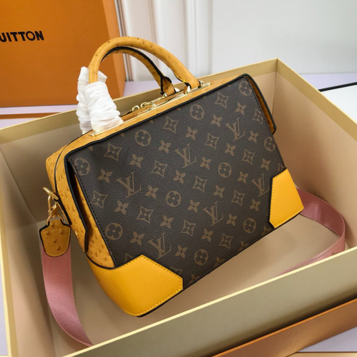 Louis Vuitton Womens Bag