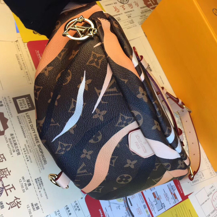 Louis Vuitton Womens Bag
