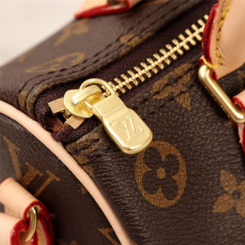 Louis Vuitton Womens Bag
