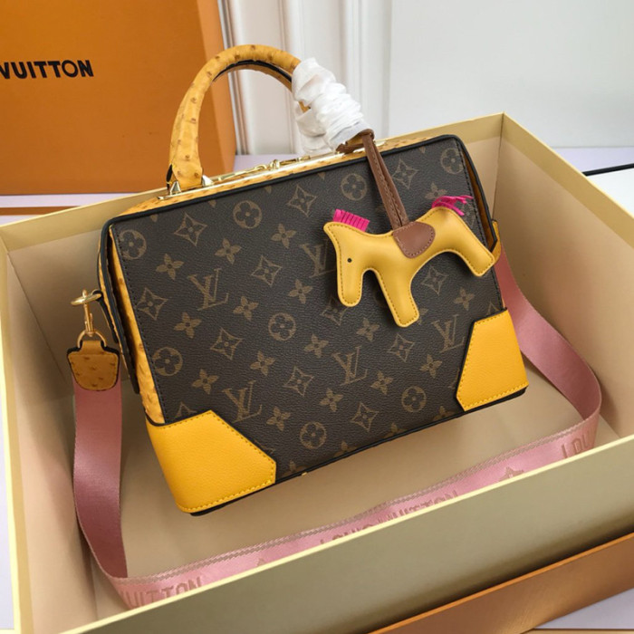 Louis Vuitton Womens Bag