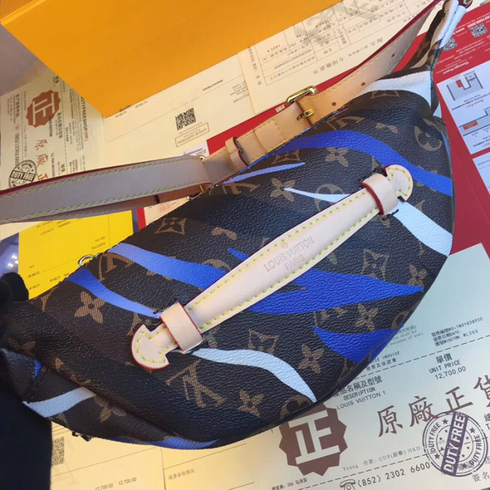 Louis Vuitton Womens Bag