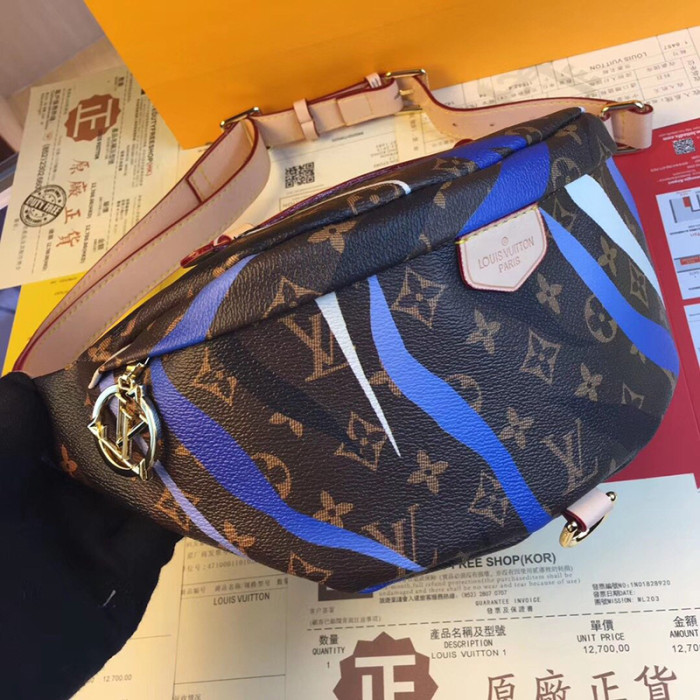 Louis Vuitton Womens Bag