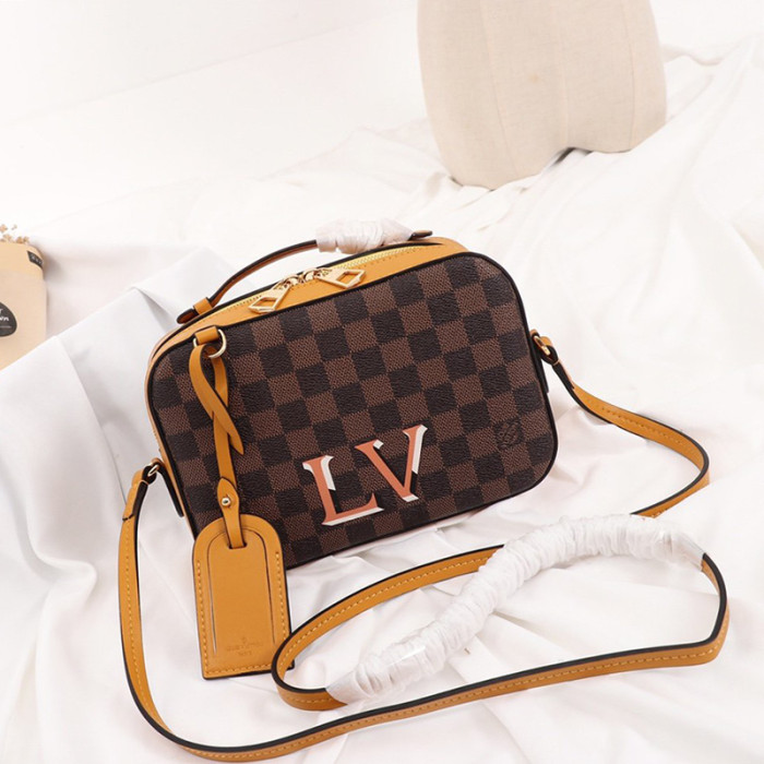 Louis Vuitton Womens Bag