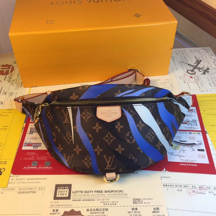 Louis Vuitton Womens Bag