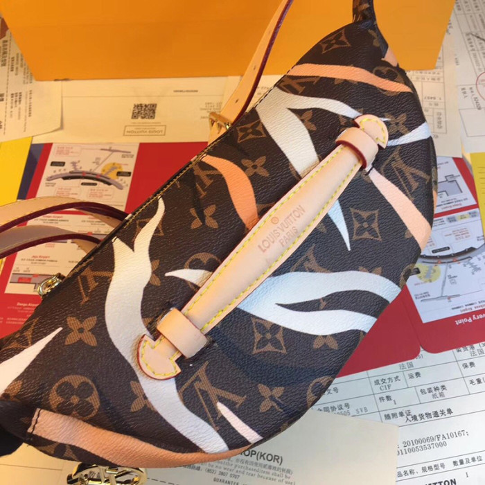 Louis Vuitton Womens Bag