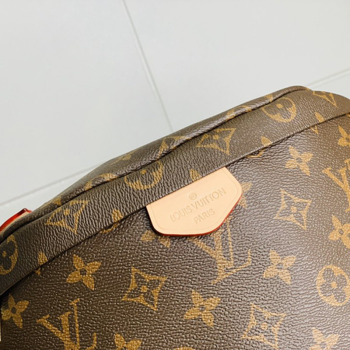 Louis Vuitton Womens Bag Chest Pack