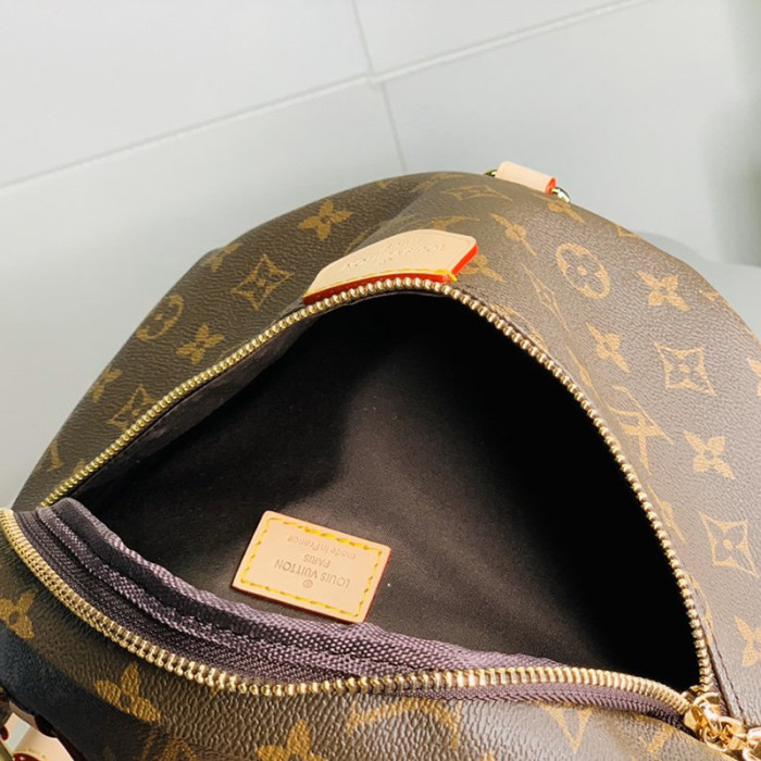 Louis Vuitton Womens Bag Chest Pack