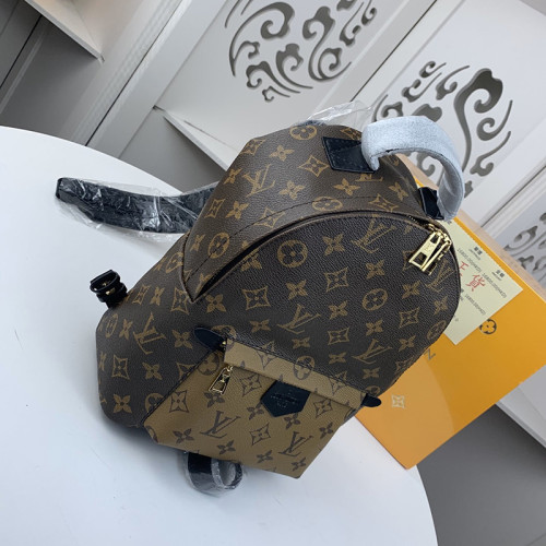 Louis Vuitton Womens Bag Backpacks